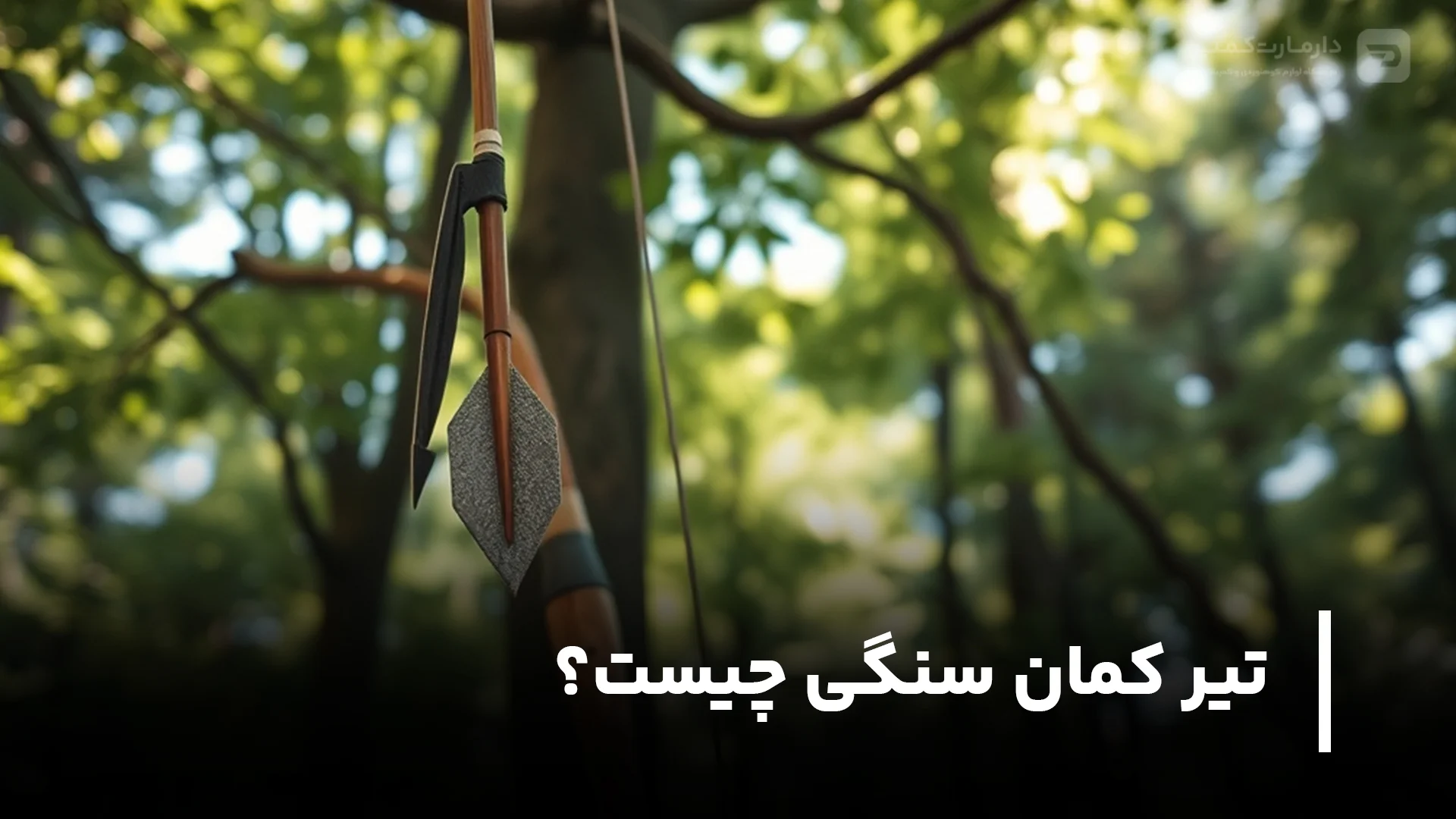 تیر کمان سنگی چیست؟